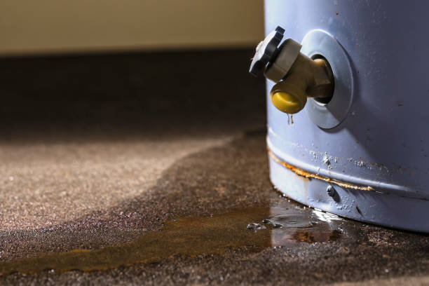 Best Water damage restoration near me  in Mcnary, AZ