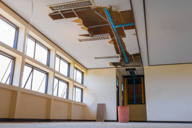 Best Water damage contractors near me  in Mcnary, AZ