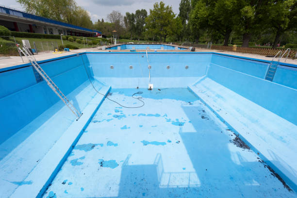 Best Water damage contractors near me  in Mcnary, AZ