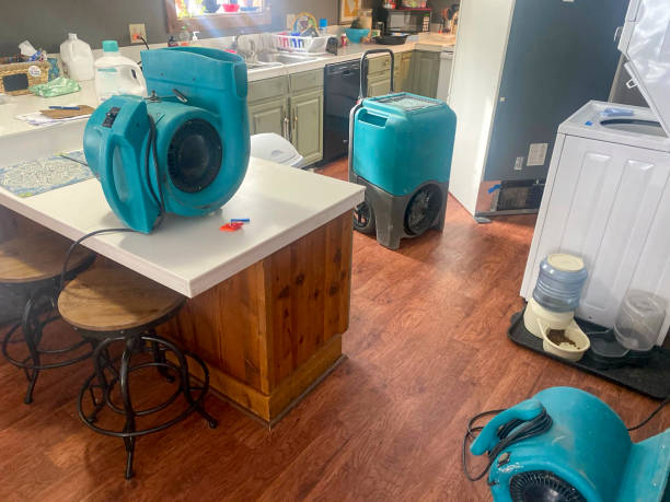 Best Sewage cleanup and water damage restoration  in Mcnary, AZ
