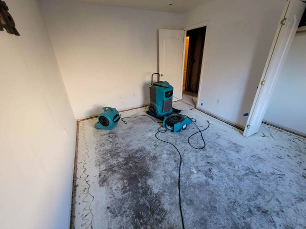 Best Flooded house restoration  in Mcnary, AZ