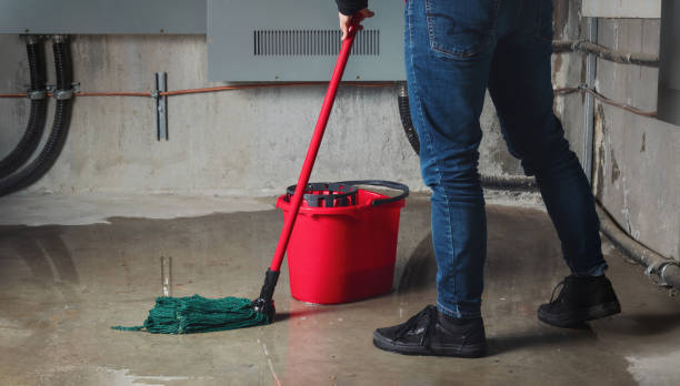 Best Residential water damage restoration  in Mcnary, AZ