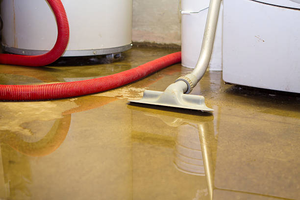 Best Carpet water damage restoration  in Mcnary, AZ