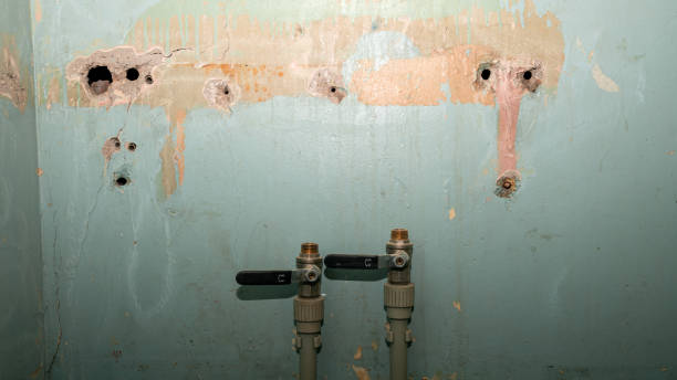 Best Water damage restoration experts  in Mcnary, AZ