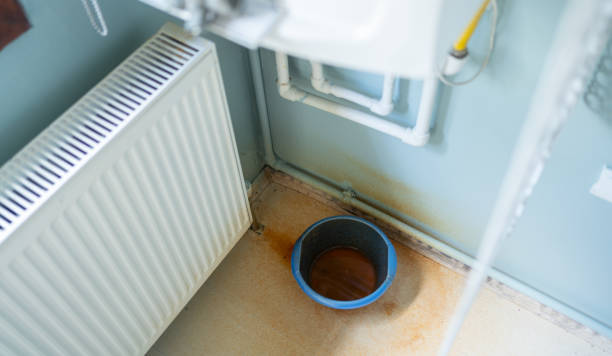 Best Flood restoration services  in Mcnary, AZ