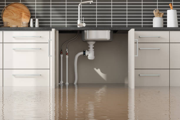 Best Basement water damage restoration  in Mcnary, AZ
