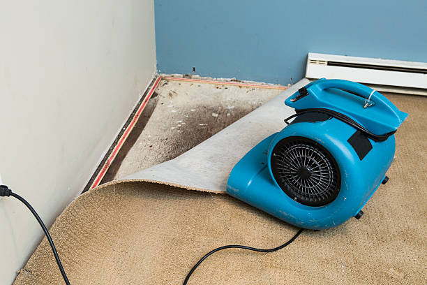 Best 24/7 water damage repair  in Mcnary, AZ