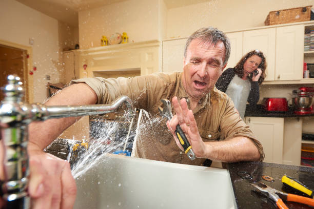 Best Professional water damage repair  in Mcnary, AZ